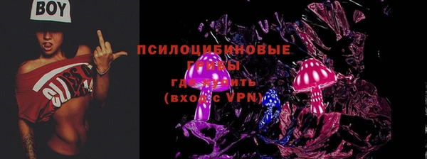 spice Богородск