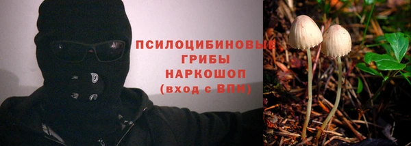 синтетический гашиш Богородицк