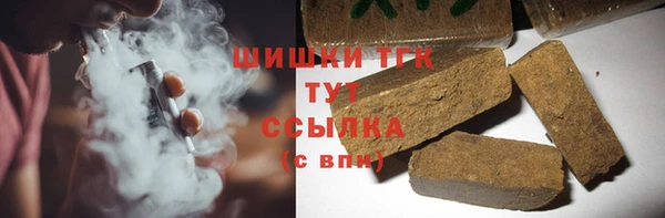 spice Богородск