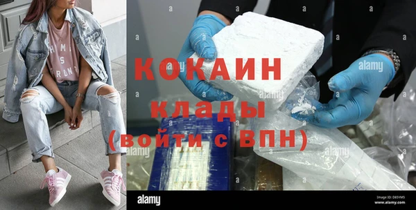 spice Богородск
