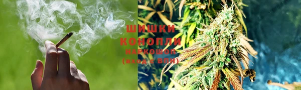 твердый Белокуриха