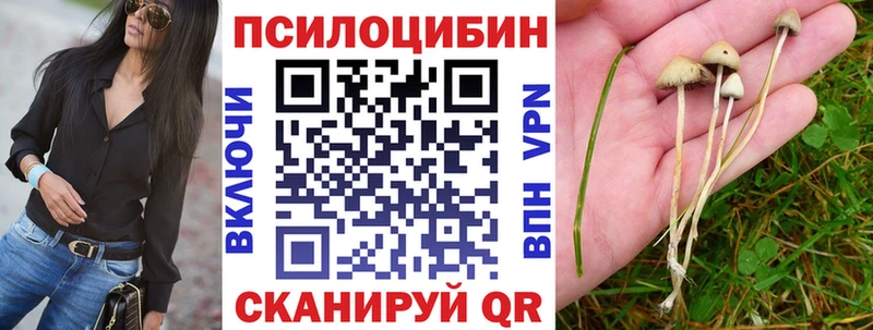 Псилоцибиновые грибы мухоморы  Бронницы 